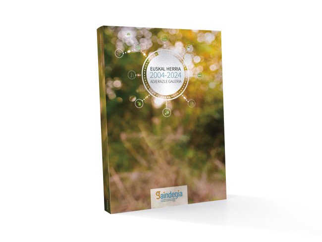 Gaindegiaren Adierazle Galeria 2004-2024