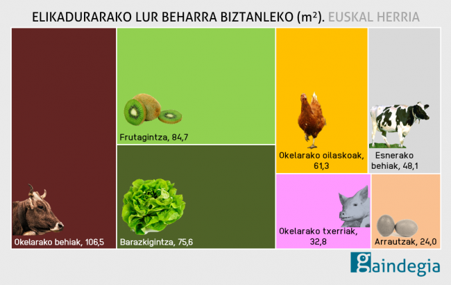 ELIKADURARAKO-LUR-BEHARRA-BIZTANLEKO-EUSKAL HERRIA